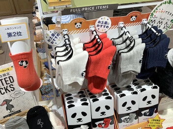 【靴下屋】ここでしか手に入らないパンダソックス！