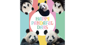 松坂屋上野店で「HAPPY PANDAFUL DAYS」6月1日（水）から６月30日（木）まで開催！