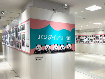 パンダ来日51周年記念企画　松坂屋上野店で「ハッピーパンダフルデイズ」を開催中！