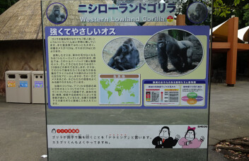 Special Interview「上野動物園、むかし・いま・みらい」②