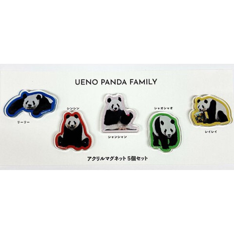 パンダファミリーがマグネットに♪ UENO PANDA FAMILY アクリル