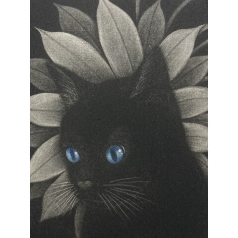 仙北谷 和子 銅版画メゾチント展 | 美術画廊 TOPICS | 松坂屋上野店