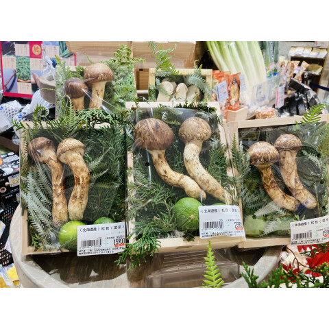 香り豊かな絶品北海道産松茸 | 生鮮食品 TOPICS | 松坂屋上野店公式