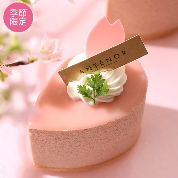 〈アンテノール〉お花見🌸スイーツのご紹介✨