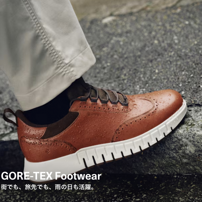 ☆  ❄️ 〈エコー〉《  ECCO GRUUV STUDIO GTX MEN 》👞 