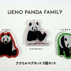 パンダファミリーがマグネットに♪ UENO PANDA FAMILY アクリルマグネットセット登場！