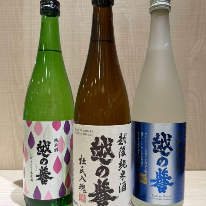 今週のおすすめ日本酒 ≪越の誉≫