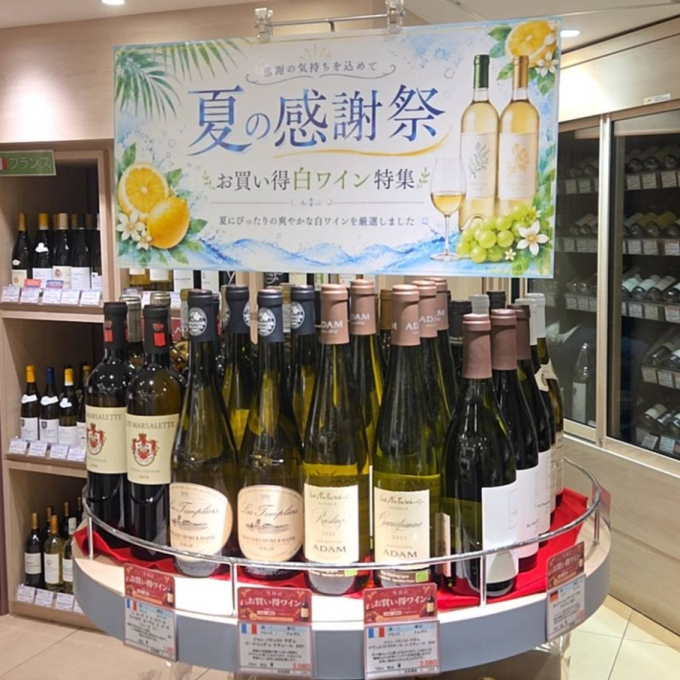 夏の感謝祭開催！爽やかな白ワインを特集！！