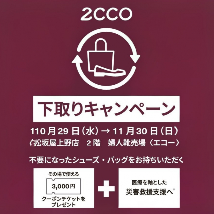 🍂  📢〈 エコー 〉🌰 《  下取りキャンペーン  》 スタート　🍁