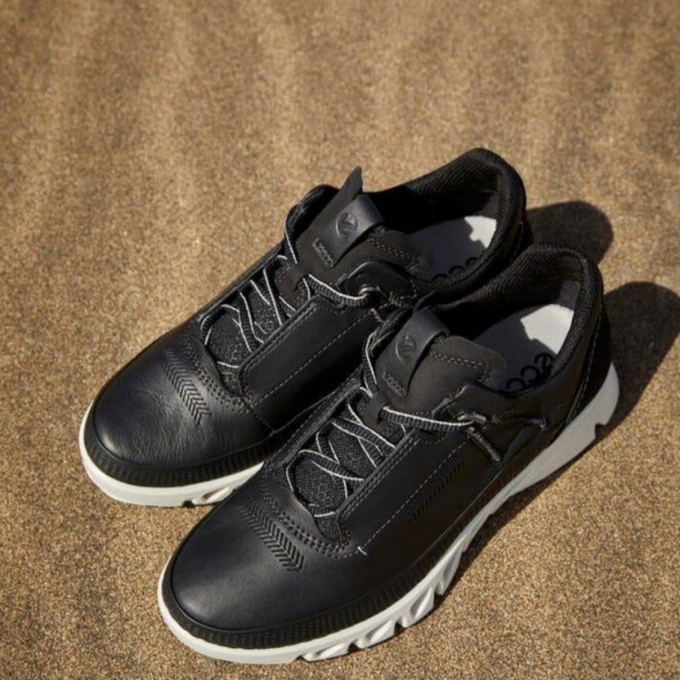   ❄️ 〈エコー〉⛄️ 冬の《 ECCO MULTI - VENT  etc.  》🎄