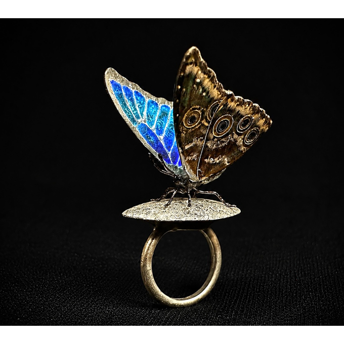Butterfly 　 ち ょう ち ょ　て ふ て ふ
