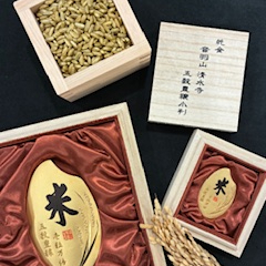 一粒の輝き　純金製米型　大判・小判