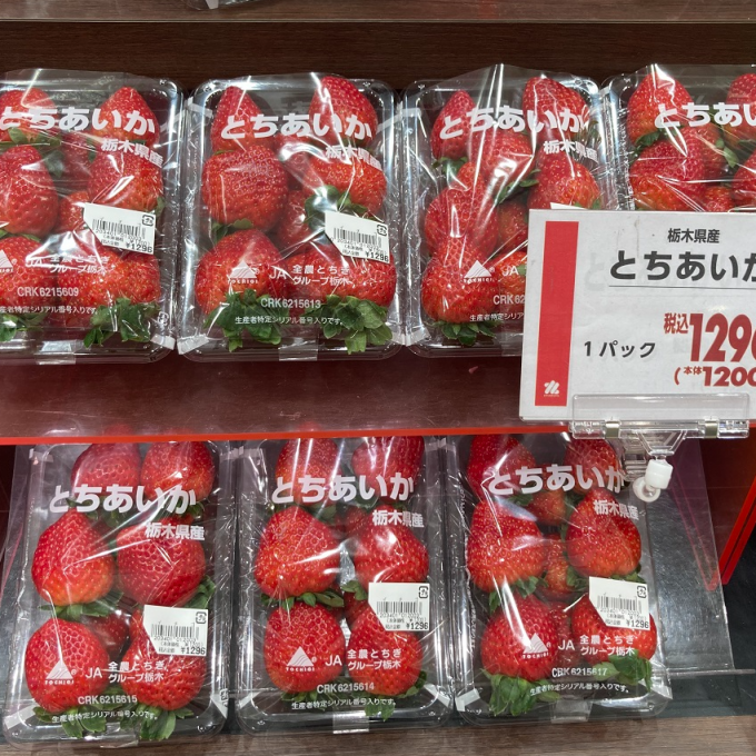 (九州屋）いよいよイチゴが入荷してきました！！