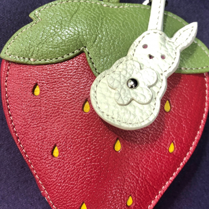 〈イビサ〉いちごのマルチケース🍓🐇