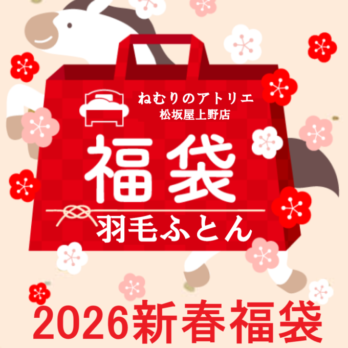 🌄〈ロマンス小杉〉2026新春福袋－羽毛掛けふとんー🎍