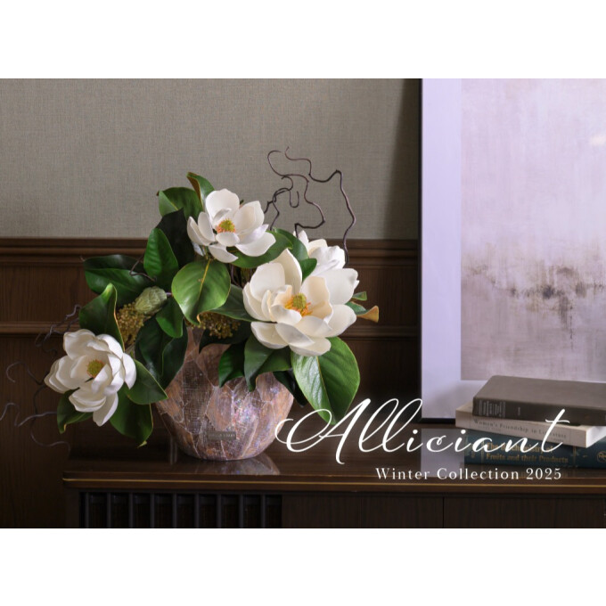 ウインターコレクション  / セントメアリー