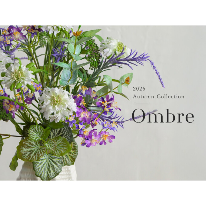 Ombre ＜オンブル＞　オータムコレクション2026