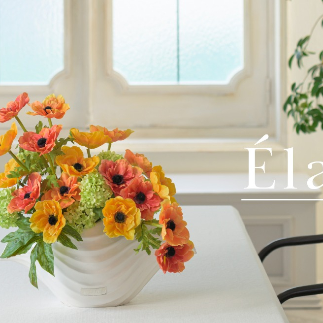 コレクション　アネモネ