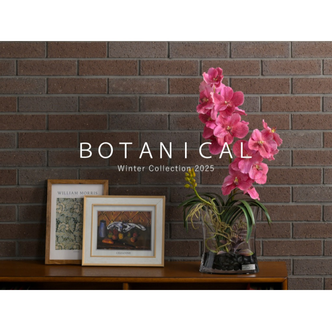 ウインターコレクション / バンダボタニック 