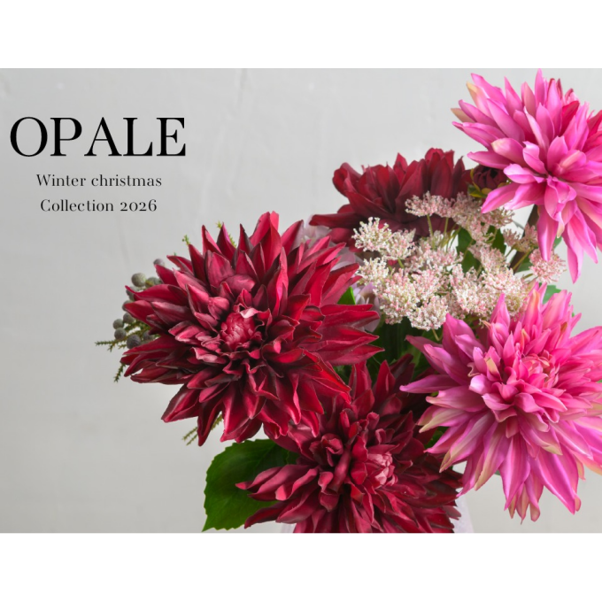 OPALE（オパール）