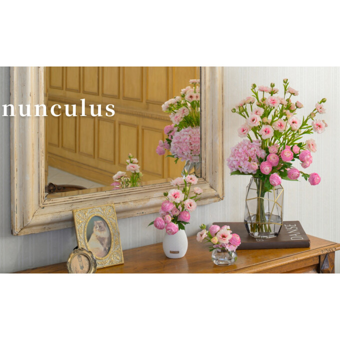 ラナンキュラス・ファレノプシスリップピンク