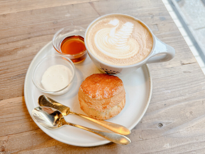 【feb's coffee&scone Blucca】植物に囲まれた上質空間でいただくスコーンと自家焙煎コーヒー