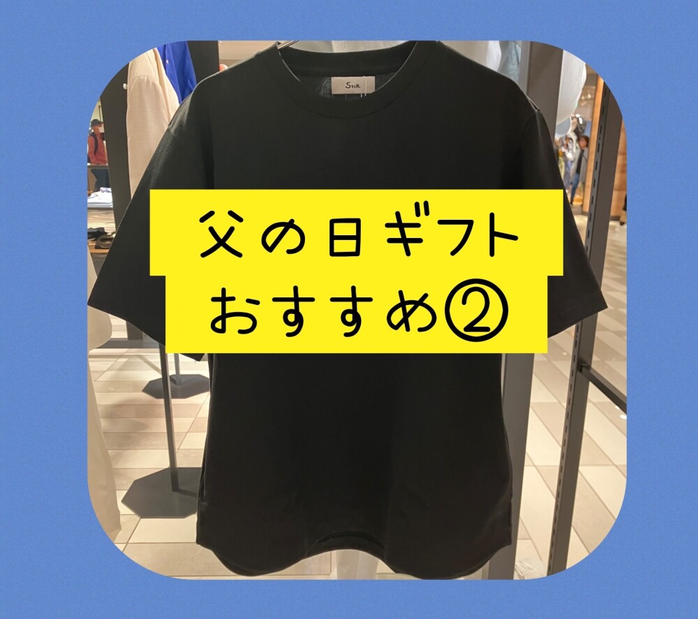 父の日ギフト【STIR（スティア）】黒無地Tシャツ