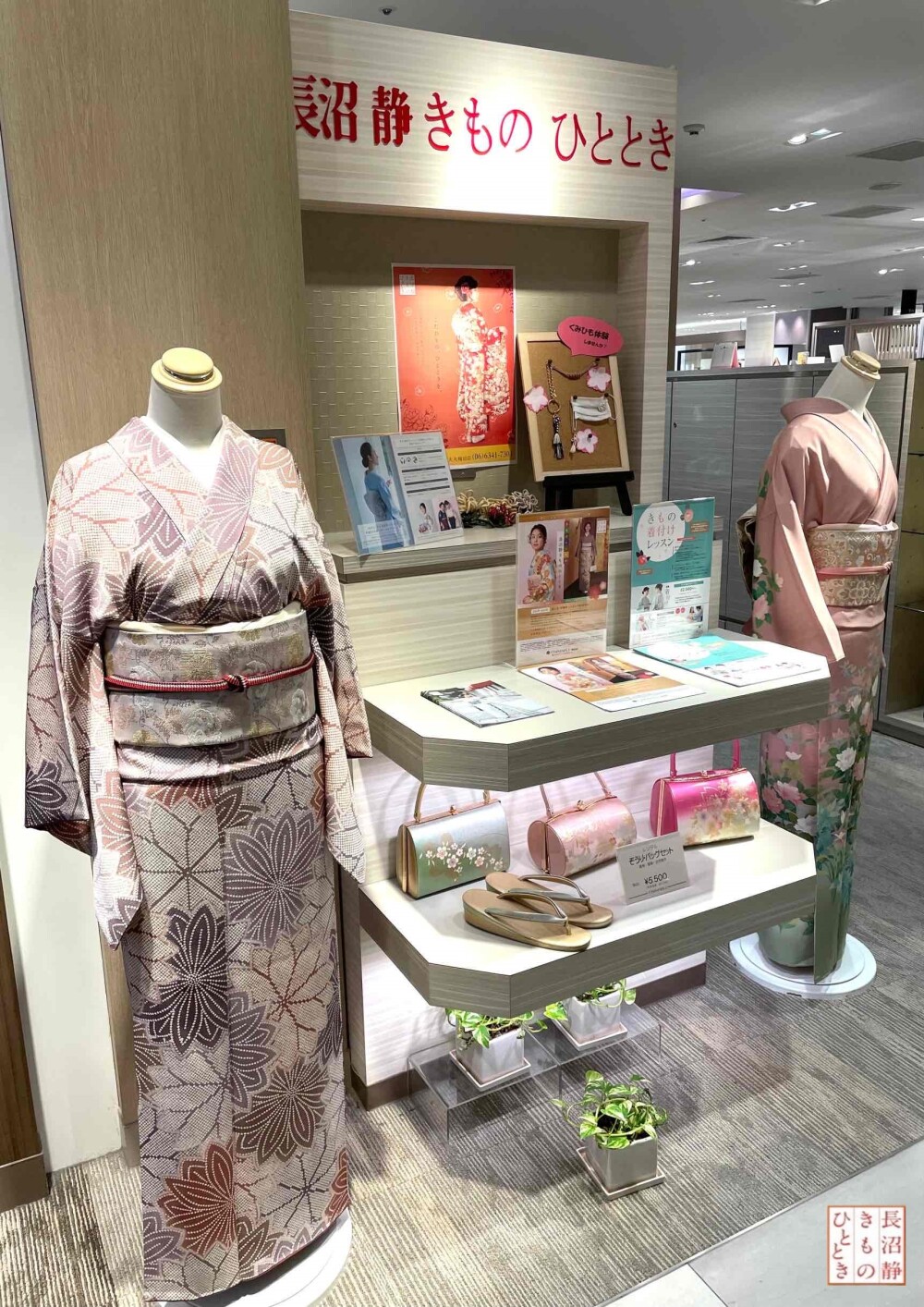 着付け料 半額！小紋でお出かけ応援キャンペーン
