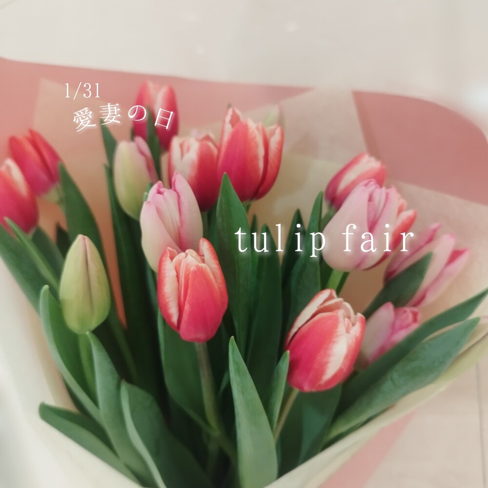 🌷1/31愛妻の日🌷
