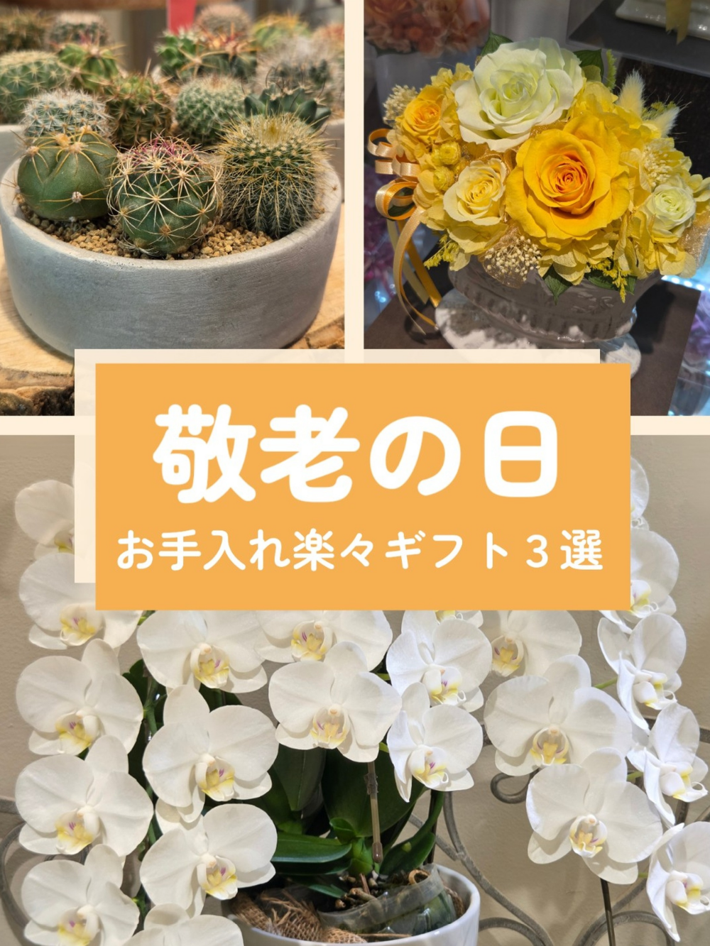 👴9/23敬老の日👵お手入れ楽々ギフトのご紹介！