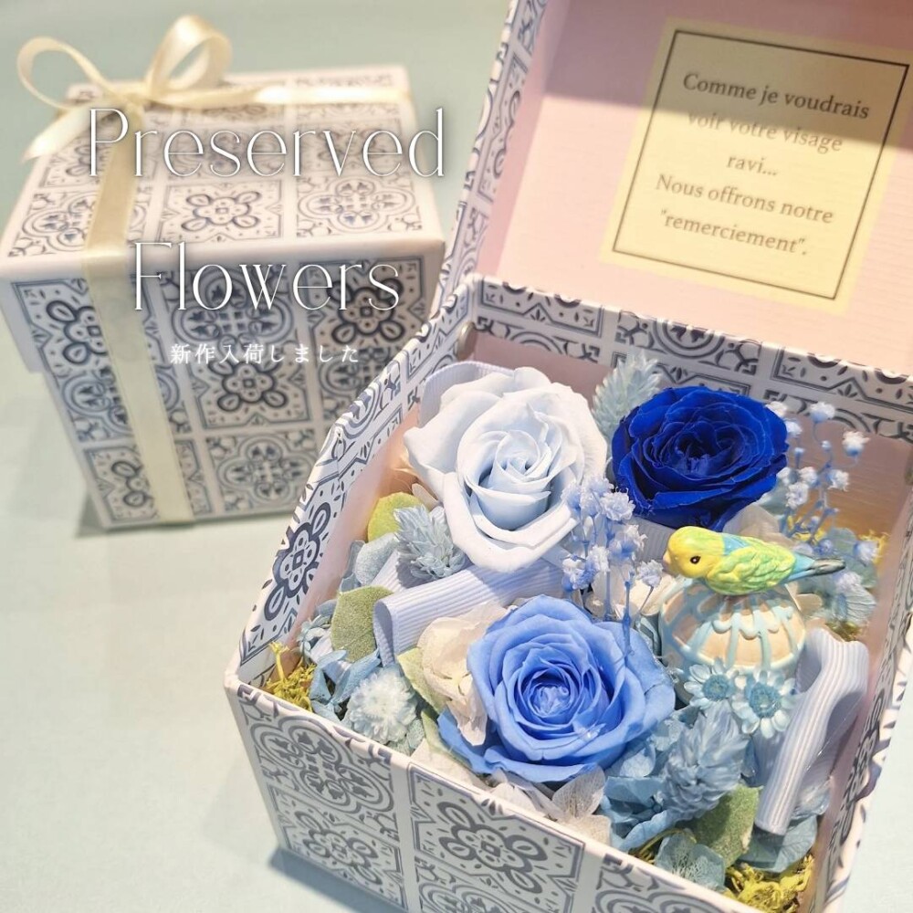 アニマルプリザーブドフラワー入荷しました💐