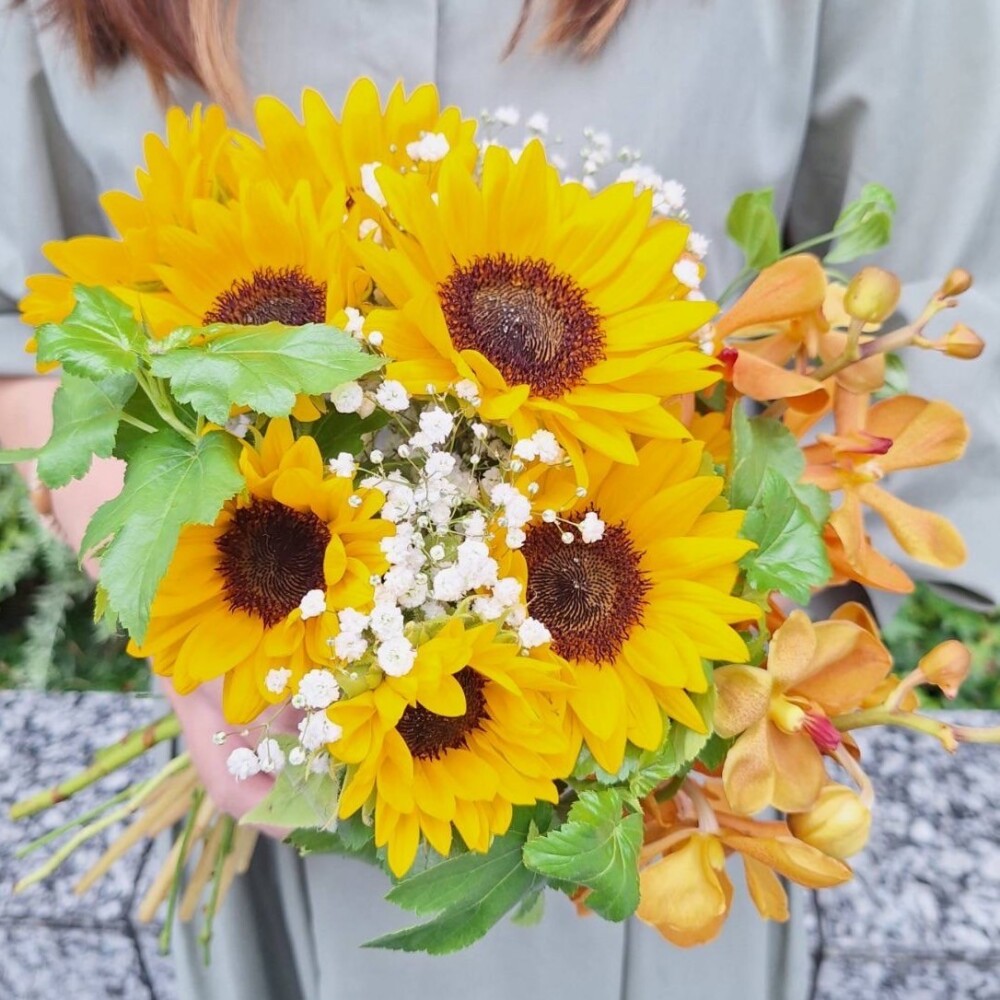🌻ひまわりフェア開催中🌻