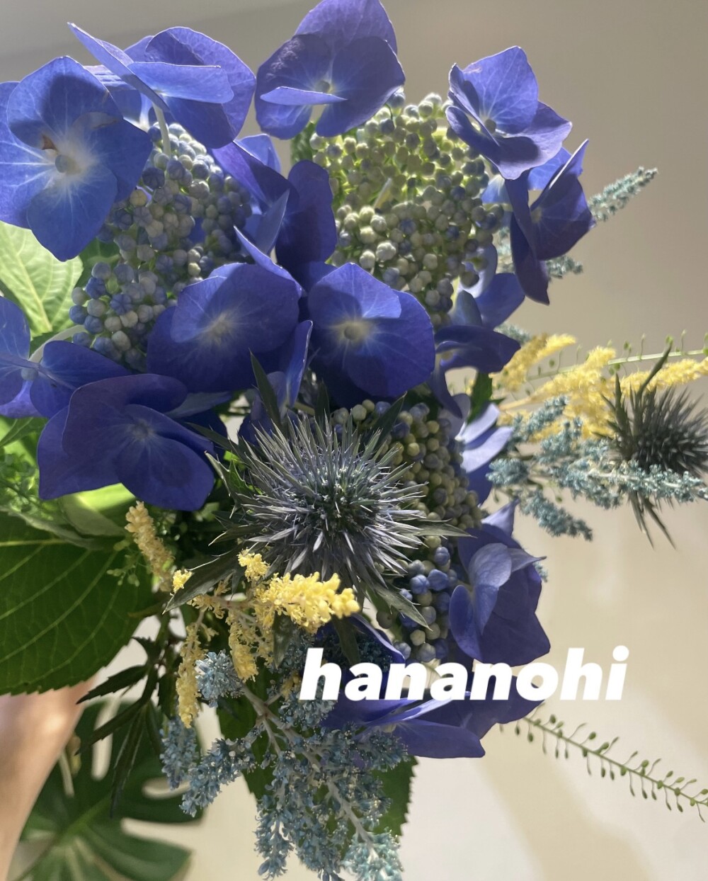 \\27日、28日限定！//　８７(ハナ)の日❣　おうちにお花を飾りませんか💕