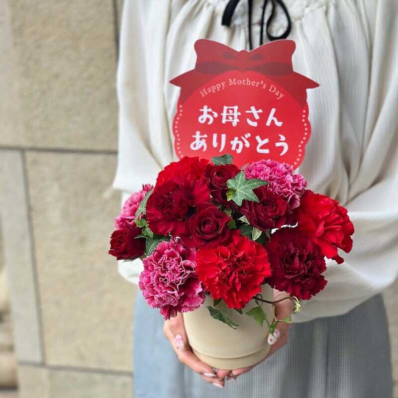 母の日ギフト💐アレンジメント特集