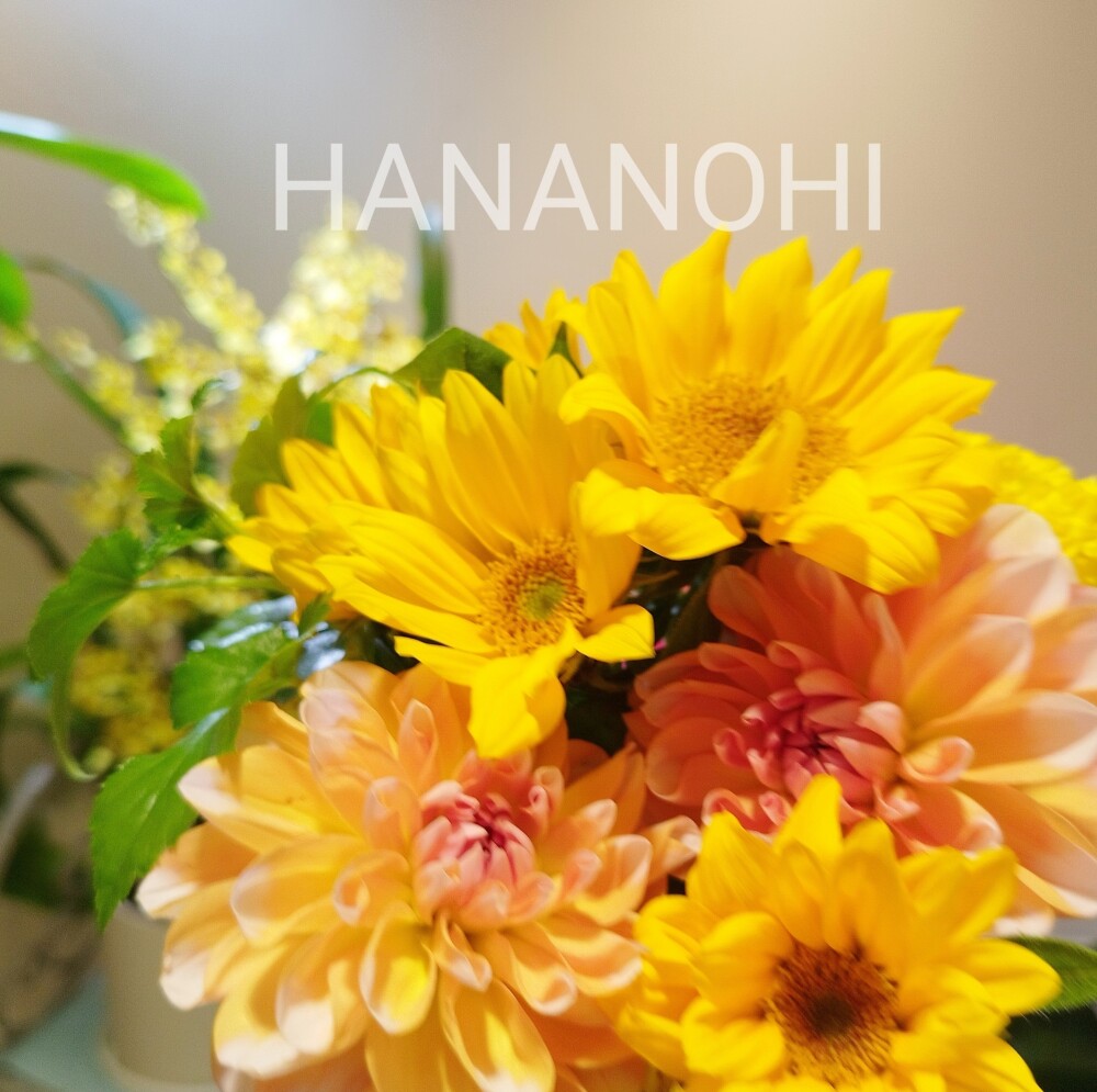 \\27日、28日限定！//　８７(ハナ)の日❣　おうちにお花を飾りませんか💕