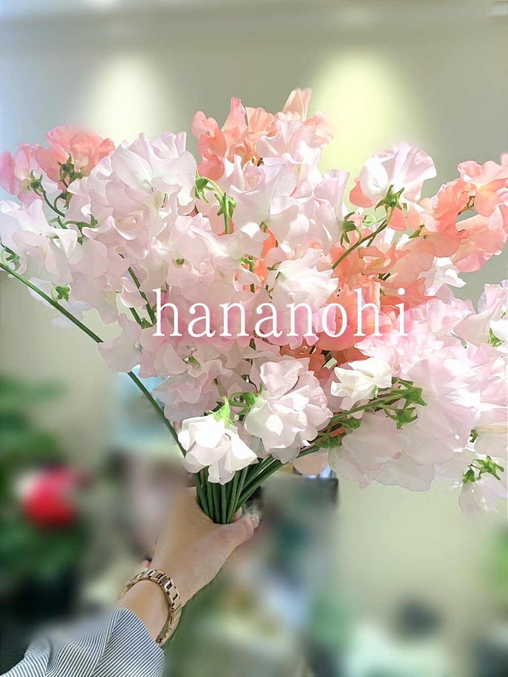 \\17日、18日限定！//　８７(ハナ)の日❣　おうちにお花を飾りませんか💕