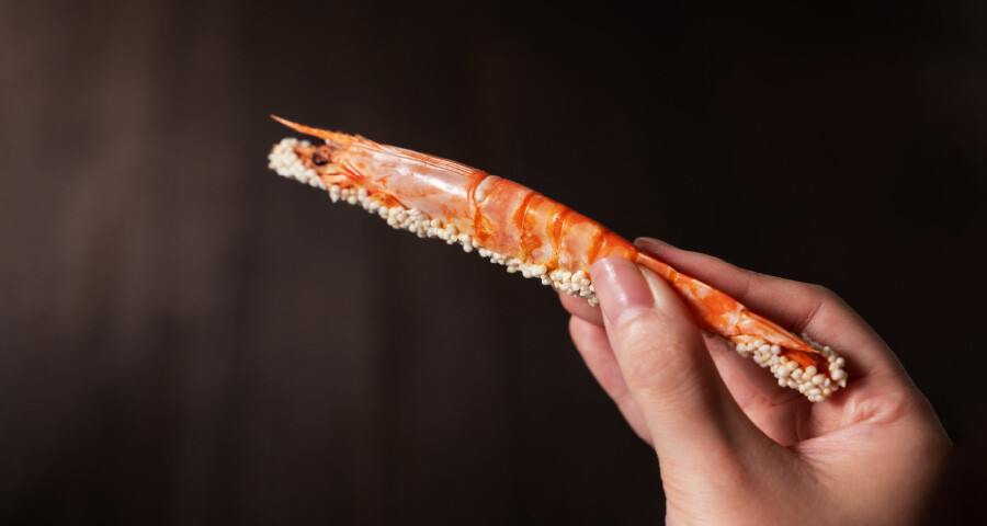 敬老の日＝海老の日🦐