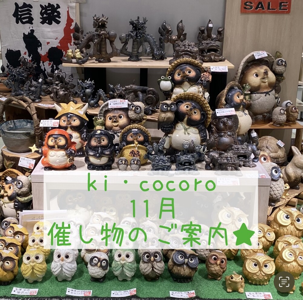 2024年11月　催し物のご案内