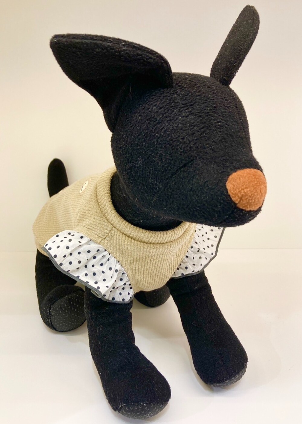 新作ウェア入荷🐶