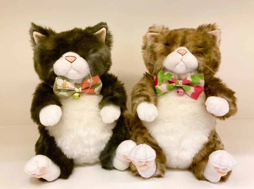 猫首輪新作入荷🐱