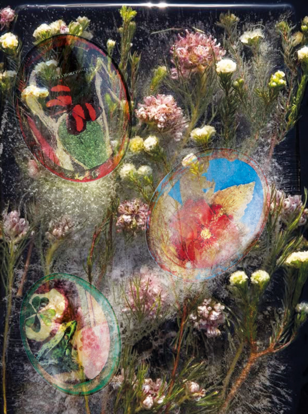 イタリア発老舗ジュエリーブランド【PELLINI】