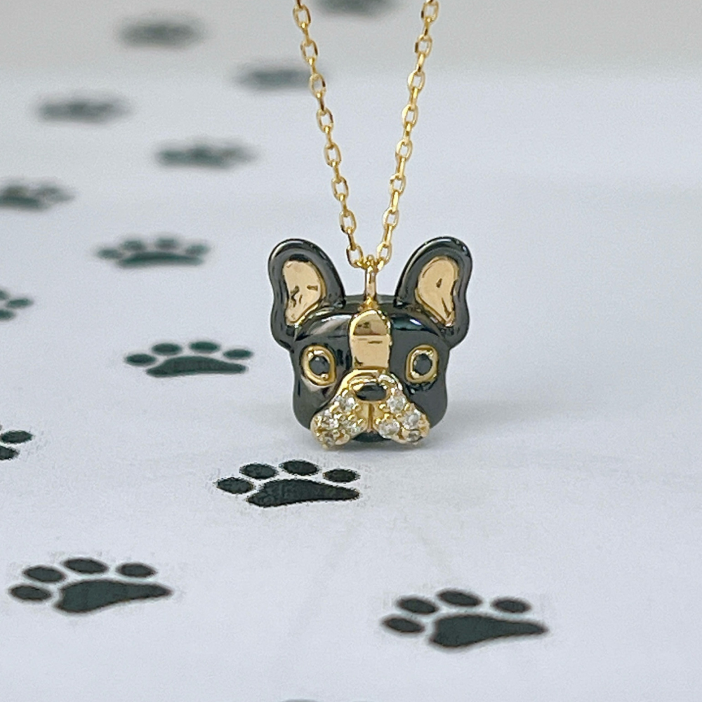 キュートなボストンテリア🐾