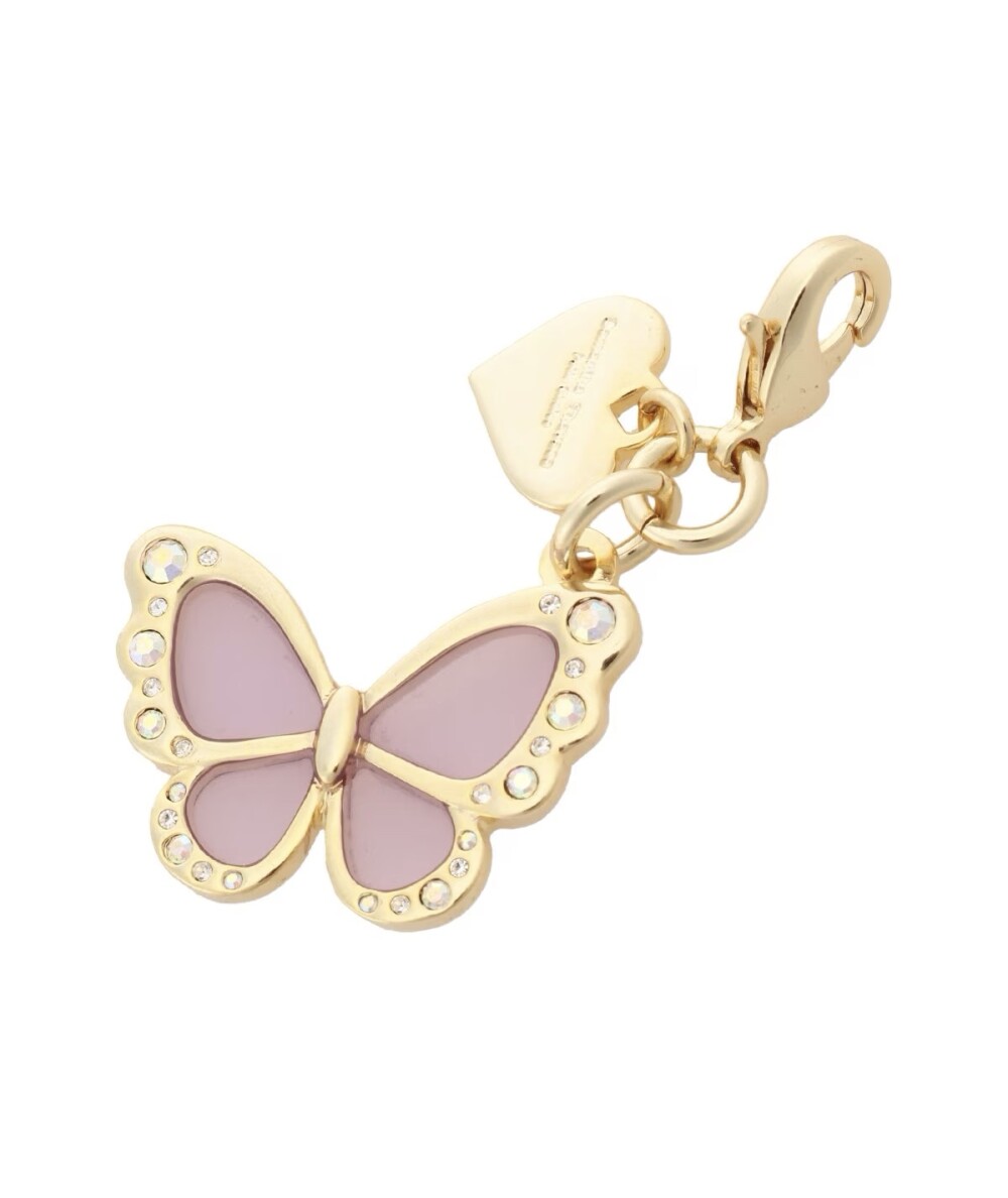 🦋新作🦋 バタフライモチーフ ファスナーチャーム