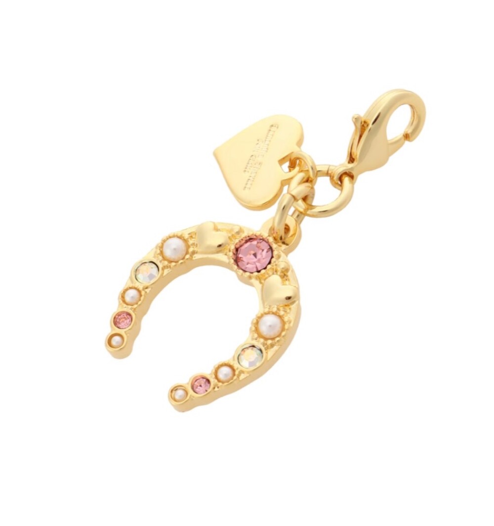 ✨スタッフおすすめ✨【ホースシューモチーフ ファスナーチャーム】