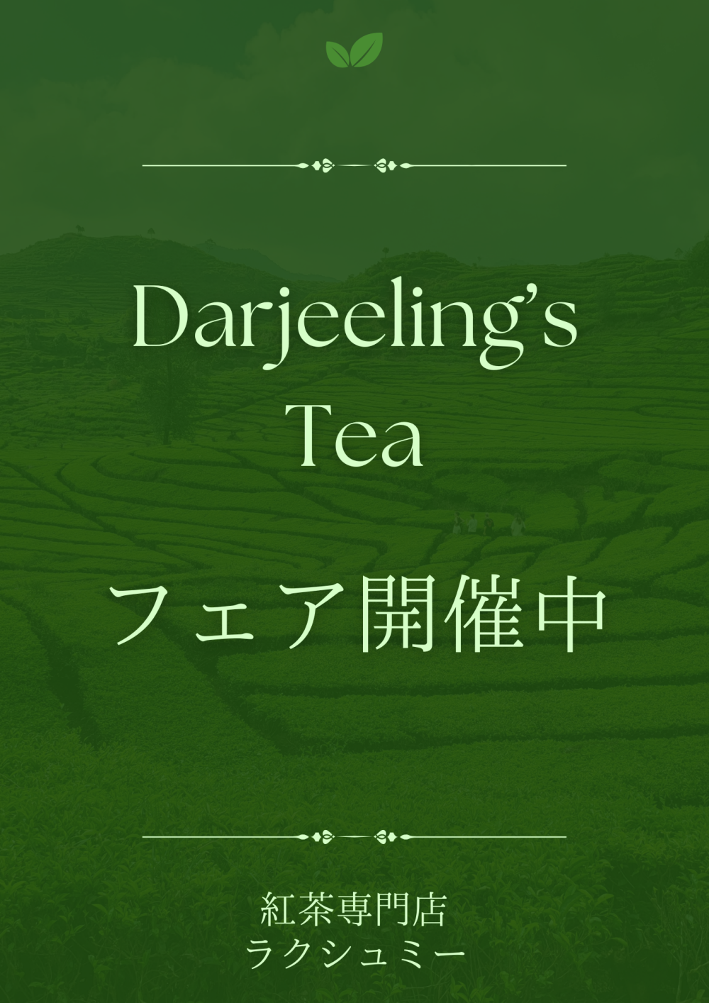 ダージリンフェア開催中