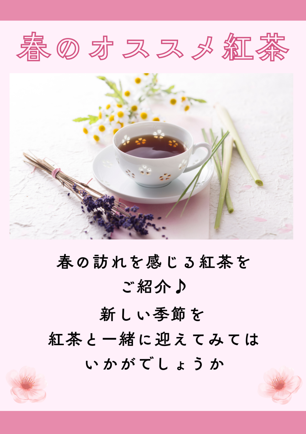 春のオススメ紅茶
