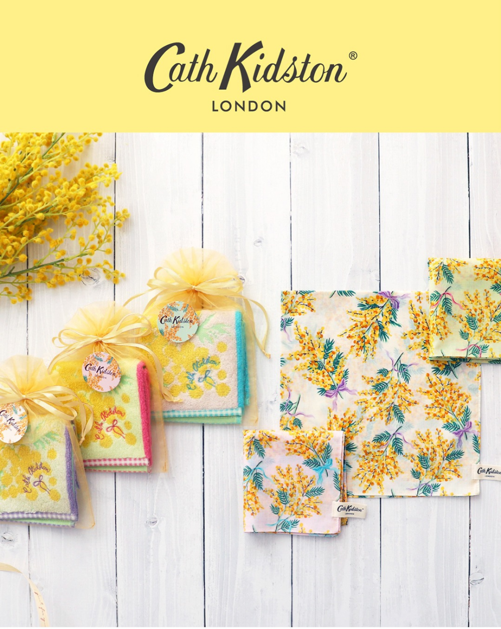 🌼THE 　ミモザ🌼