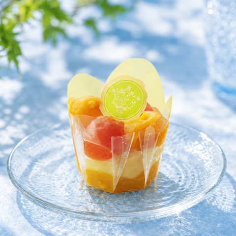 オレンジとマンゴー味のレアケーキ！ | フェスティバロ | 大丸梅田店