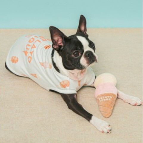 【新作】ジェラピケウェア入荷 | P2 DOG&CAT | 大丸梅田店公式 SHOP BLOG