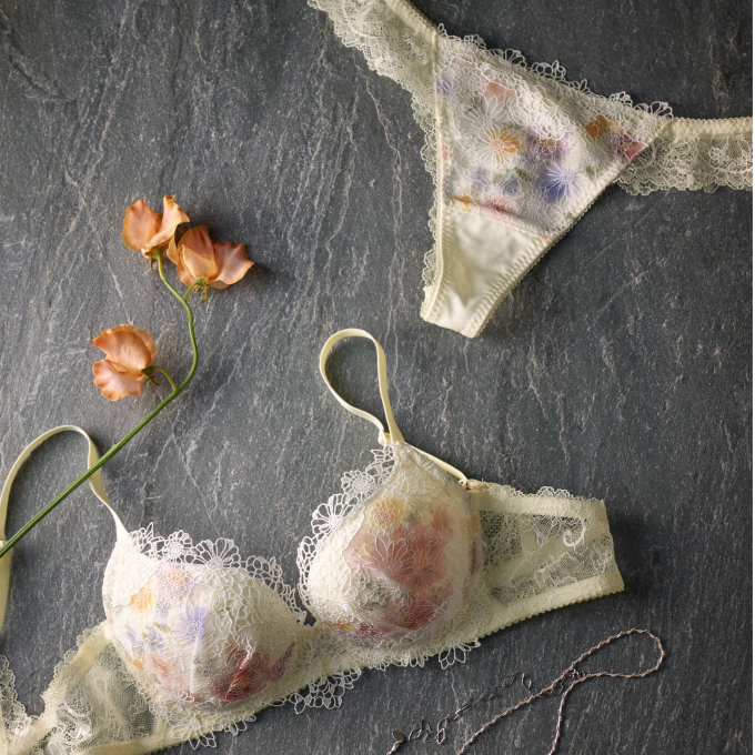 🎀❄️2026年春夏コレクション先行ご予約会のご案内❄️🎀